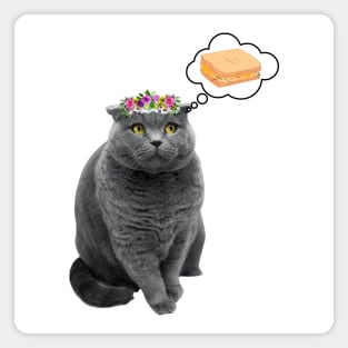 Cute cat wants toast Magnet